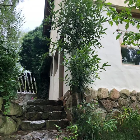 Cabana Los Sauces Apartment Tandil Exterior photo